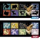 Hrnek Pokémon - Eevee Evolution, měnící se