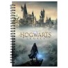 Zápisník Hogwarts Legacy