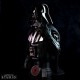 Busta Star Wars - Darth Vader (znak impéria)