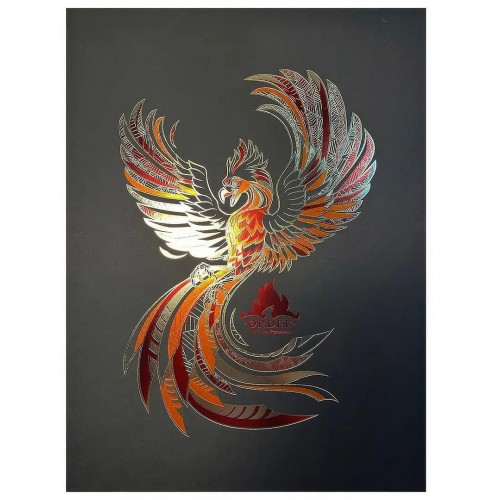 Obraz Harry Potter - Fénixův řád