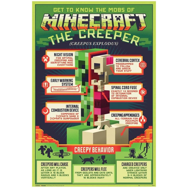 Plakát Minecraft - Anatomie Creepera