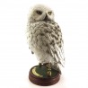 Soška Harry Potter - sova Hedvika