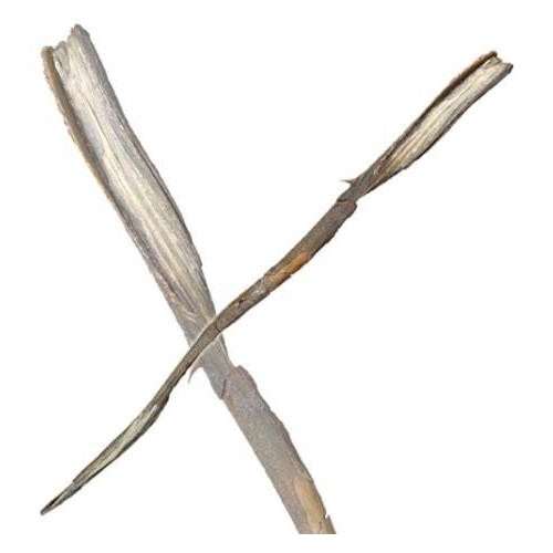 Hůlka Gellerta Grindelwalda