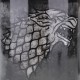 Hrnek Game of Thrones - Stark