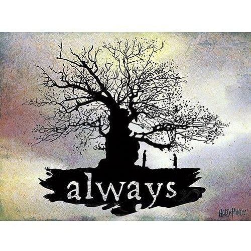 Obraz na plátně Harry Potter - Always