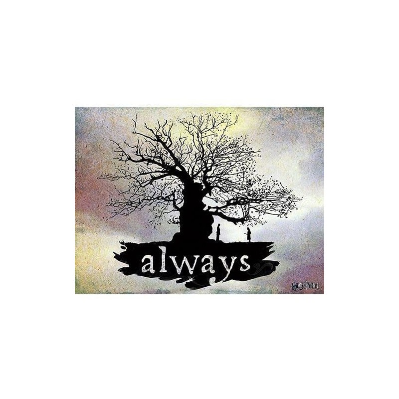 Obraz na plátně Harry Potter - Always