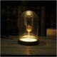 Lampa Harry Potter - Zlatonka