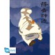 Sada plakátů Avatar: The Last Airbender - Appa & Map