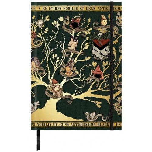 Zápisník Harry Potter - Rodina Blacků