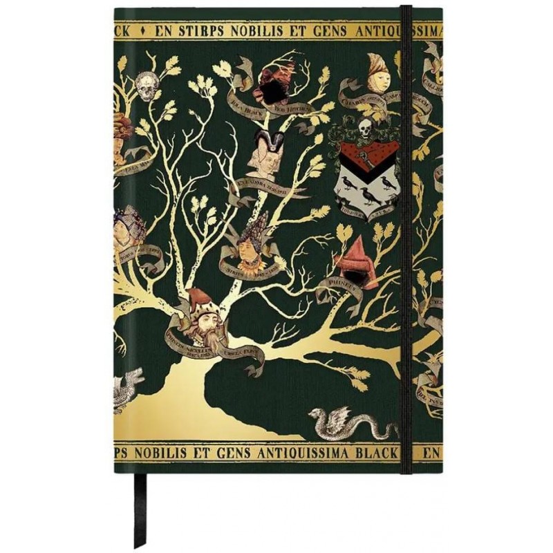 Zápisník Harry Potter - Rodina Blacků