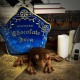 Plyšák s polštářem Harry Potter - Čokoládová žabka