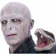 Busta Lord Voldemort (30 cm)