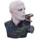 Busta Lord Voldemort (30 cm)