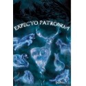 Plakát Harry Potter - Patronus