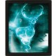 Obraz Harry Potter 3D - Expecto Patronum