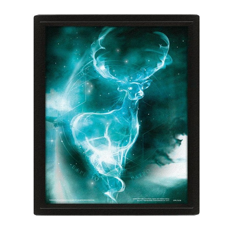 Obraz Harry Potter 3D - Expecto Patronum