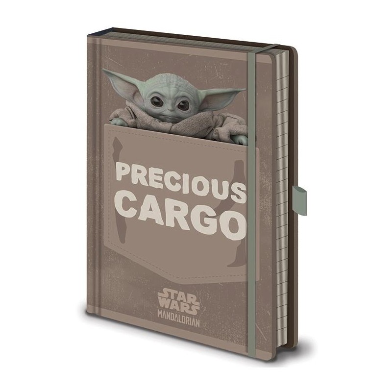 Zápisník Star Wars: Mandalorian - Precious Cargo