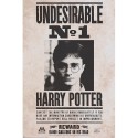 Plakát Harry Potter - Undesirable n°1