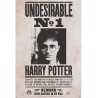 Plakát Harry Potter - Undesirable n°1