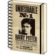 Zápisník Harry Potter - Sirius & Harry 3D