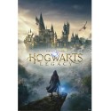 Plakát Hogwarts Legacy - Wizarding World Universe