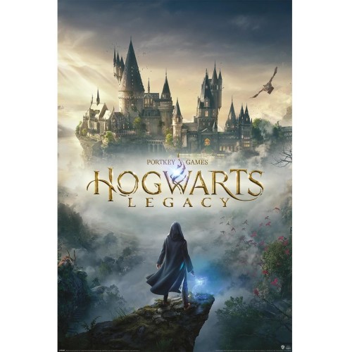 Plakát Hogwarts Legacy - Wizarding World Universe