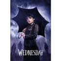 Plakát Wednesday - Downpour