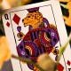 Hrací karty Theory11: Animal Kingdom