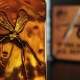 Sběratelský ingot Jurský park - Mosquito In Amber