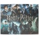 Puzzle Harry Potter - Plakát, 1000 dílků