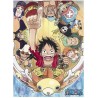 Plakát One Piece - New World