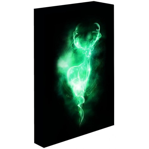 Svítící obraz Harry Potter - Patronus