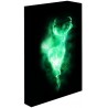 Svítící obraz Harry Potter - Patronus