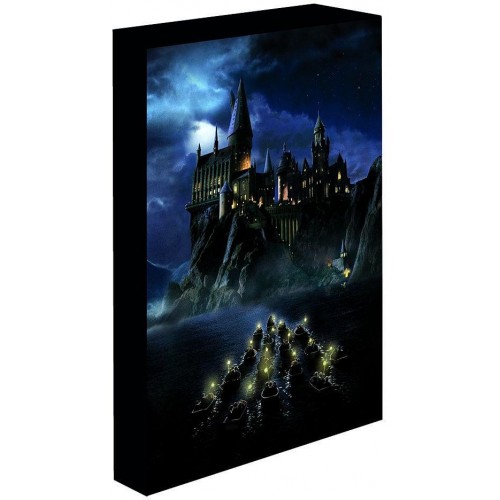 Svítící obraz Harry Potter - Noční Bradavice