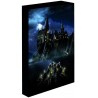 Svítící obraz Harry Potter - Noční Bradavice