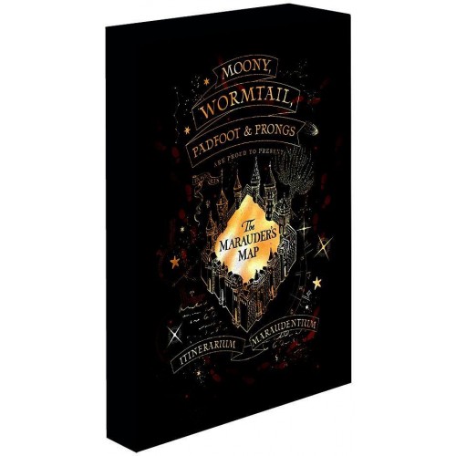 Svítící obraz Harry Potter - Pobertův plánek